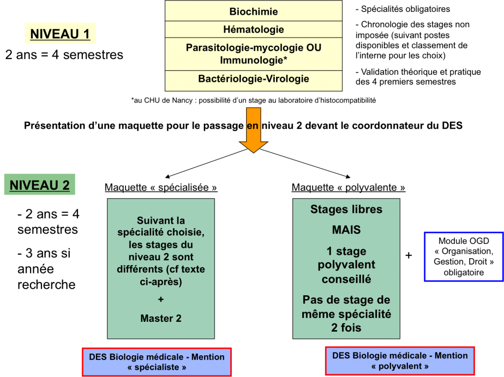 Cursus Biologie médicale